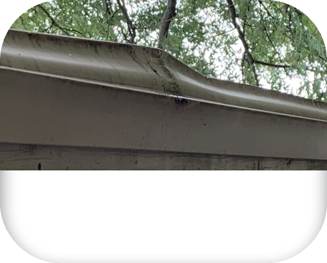 Replace Damaged Gutters